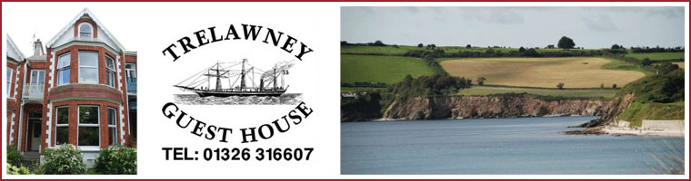 Trelawney Guest House Falmouth - bed and breakfast in Falmouth