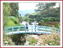 Gardens in Falmouth