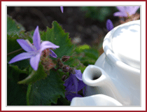 Falmouth Guest House - Tea and coffee in all rooms at Trelawney Guest House in Falmouth, Cornwall